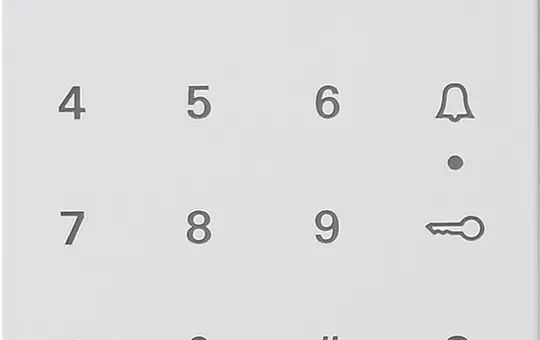 GIRA Keyless-In Codetastatur-Abdeckung System 55 