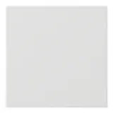 GIRA Bedienaufsatz S3000 System 55 