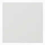 GIRA Elektronikwippe System 55 