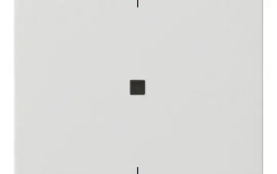 GIRA beschr. Kontrollabdeckung S3000 System 55 