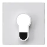 GIRA Schlüsselschalter-Abdeckung System 55 