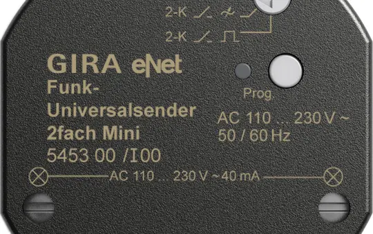 GIRA 545300 eNet Universalsender 2-fach