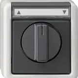 GIRA 015430 Jalousie-Drehschalter/-taster wg AP IP44 Schriftfeld
