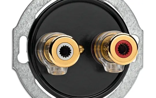 THPG 100738 Multimediadose Bakelit Bananenstecker