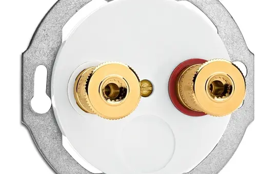 THPG 100741 Multimediadose Porzellan Cinch