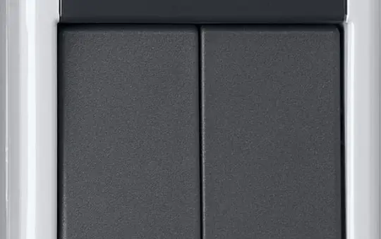 GIRA 516130 KNX-Taster-Busankoppler Aufputz WG 2-fach, Einpunktbedienung