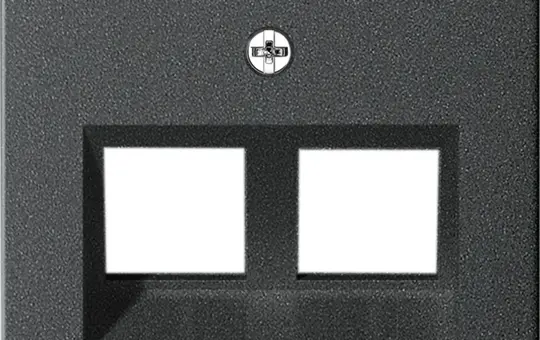 GIRA 264028 Modular-Jack-Abdeckung System 55 2-fach, Schriftfeld | anthrazit