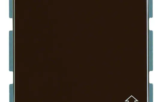 BERKER 471601 SCHUKO-Steckdose wg UP IP44 Berührungsschutz, Klappdeckel | braun glänzend