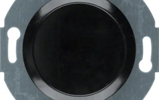 BERKER 100921 Blindabdeckung Serie 1930 Standard | schwarz glänzend