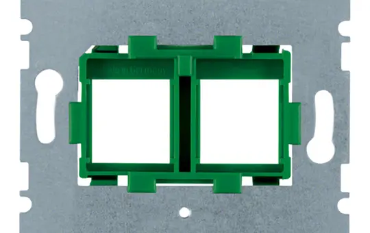 BERKER 454104 Tragplatte für Modular-Jack 2-fach | grün