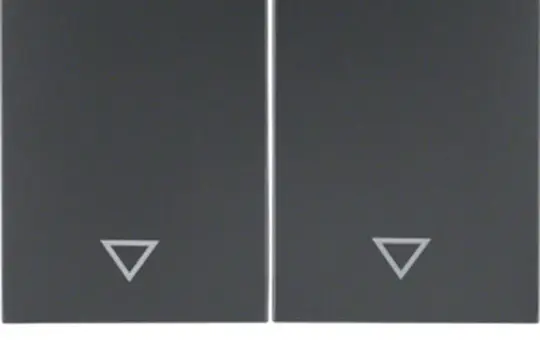 BERKER 14357206 Jalousiewippe K.1/K.5 2-fach | anthrazit matt