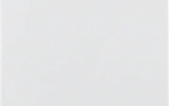 BERKER 75940409 Zentralplatte für Sensoreinsatz polarweiß glänzend