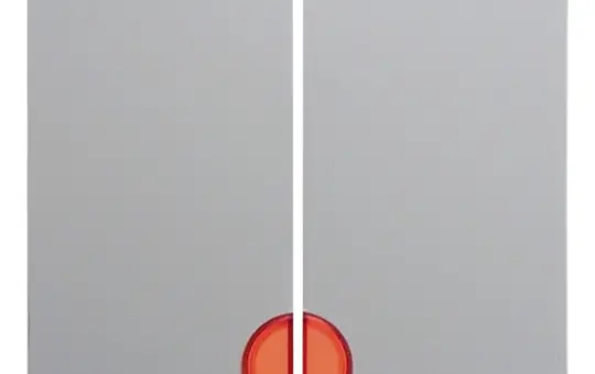 BERKER 16271909 Kontrollwippe S.1/B.3/B.7 2-fach | polarweiß matt