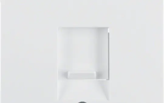 BERKER 11706089 UAE-Zentralstück Q.1/Q.3 1-fach, Schriftfeld | polarweiß samt