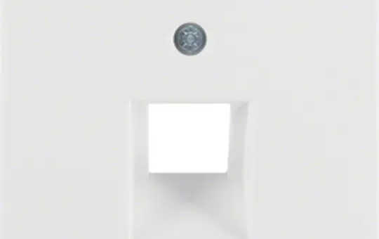 BERKER 14076089 Netzwerkabdeckung Q.1/Q.3 1-fach | polarweiß samt