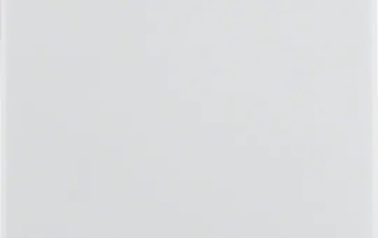 BERKER 16206089 Wippe Q.1/Q.3 1-fach | polarweiß samt