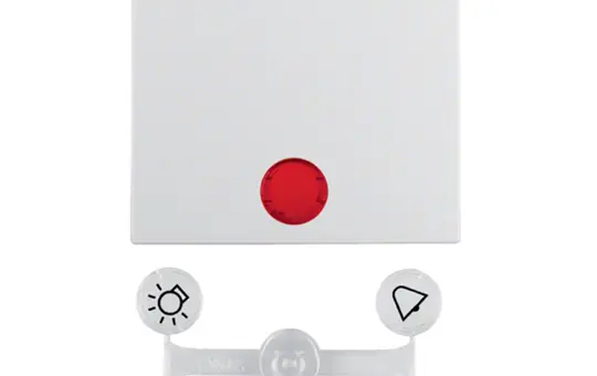 BERKER 16211909 beschr. Kontrollwippe Serie S.1/B.3/B.7 1-fach | polarweiß matt