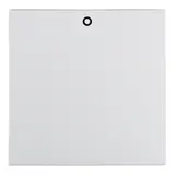 BERKER 16221909 beschr. Wippe S.1/B.3/B.7 1-fach, IO | polarweiß matt