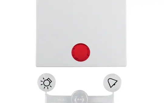 BERKER 16281909 beschr. Kontrollwippe S.1/B.3/B.7 1-fach | polarweiß matt