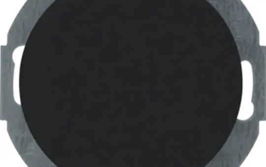 BERKER 10092035 Blindabdeckung Serie R.Classic Standard | schwarz glänzend