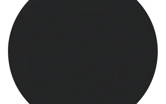 BERKER 16202045 Wippe Serie R 1-fach | schwarz glänzend