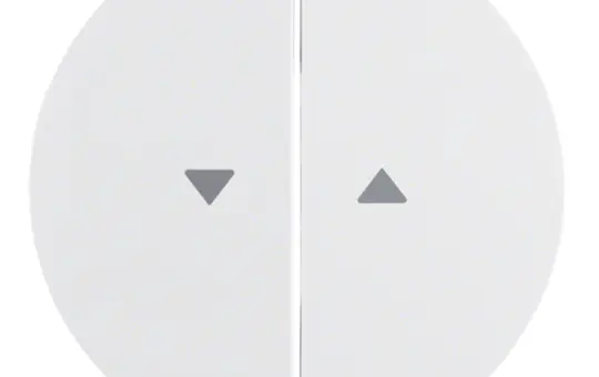 BERKER 16252089 Jalousiewippe R.1/R.3 2-fach | polarweiß glänzend