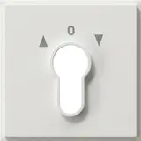 GIRA 066466 Abdeckung Schlüsselschalter TX_44 für Schlüsselschalter und -taster IP44 | reinweiß