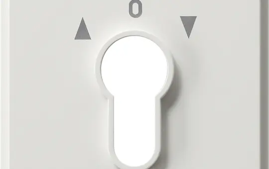 GIRA 066466 Abdeckung Schlüsselschalter TX_44 für Schlüsselschalter und -taster IP44 | reinweiß