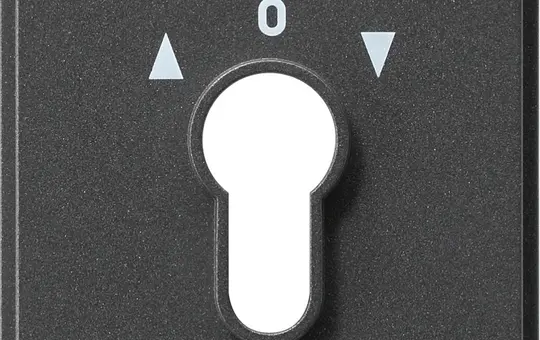 GIRA 066467 Abdeckung Schlüsselschalter TX_44 für Schlüsselschalter und -taster IP44 | anthrazit