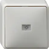 GIRA 015613 Wipptaster Aufputz Wechsler | reinweiß