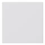 GIRA 810803 Blindabdeckung System 55 ohne Tragring | reinweiß glänzend