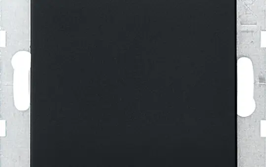 GIRA 0268005 Blindabdeckung System 55 Standard | schwarz matt