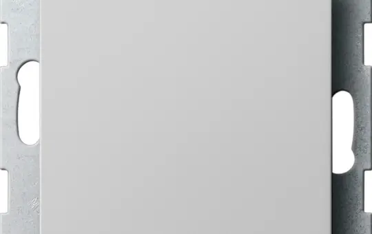 GIRA 0268015 Blindabdeckung System 55 Standard | grau matt