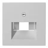 GIRA 0270015 Netzwerkabdeckung System 55 1/2-fach | grau matt