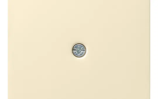 GIRA 027401 Abdeckung für Schnurableitung System 55 cremeweiß glänzend