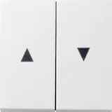 GIRA 029427 Jalousiewippe System 55 2-fach | reinweiß seidenmatt