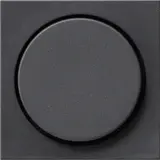 GIRA 065028 Drehdimmerabdeckung System 55 Standard | anthrazit