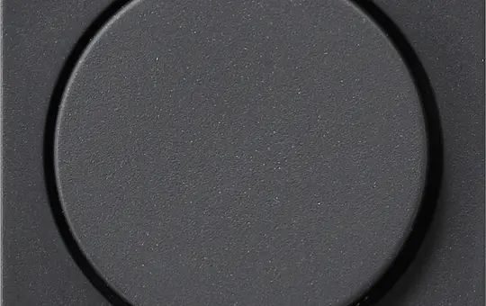 GIRA 065028 Drehdimmerabdeckung System 55 Standard | anthrazit