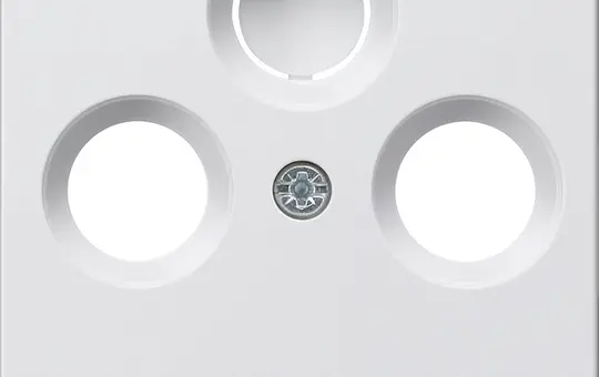 GIRA 086927 Antennenabdeckung System 55 2/3-fach | reinweiß seidenmatt