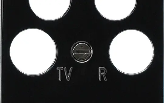 GIRA 025910 Antennenabdeckung System 55 4-fach | chrom