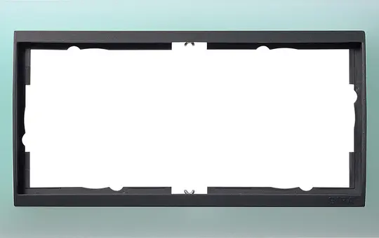 GIRA 100285 Abdeckrahmen Event anthrazit 2-fach ohne Mittelsteg | opak mint