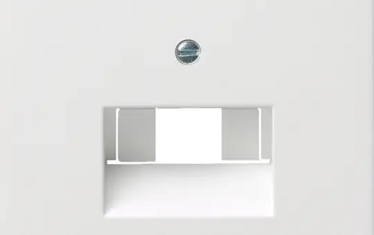 GIRA 0270112 Netzwerkabdeckung System Fläche 2-fach | reinweiß glänzend