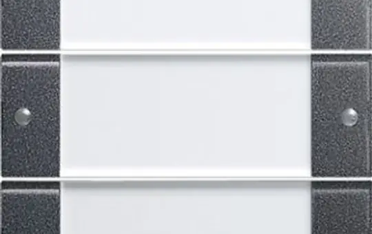 GIRA 213328 beschr. TS3-Wippenset System 55 3-fach | anthrazit