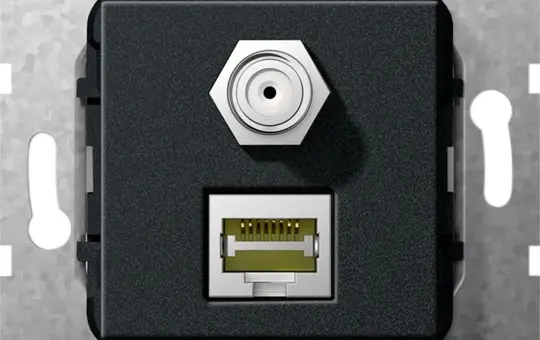 GIRA 569710 Kommunikationseinsatz 1 x RJ45 (Kupplung), 1 x F-Buchse | schwarz matt