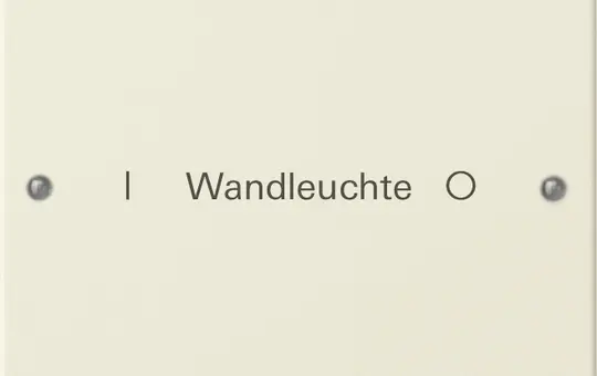 GIRA 220101 TS3-Wippenset für Beschr.-Service System 55 1-fach | cremeweiß glänzend