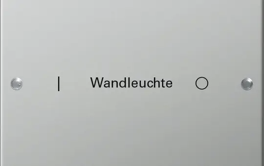 GIRA 2131602 TS3-Wippenset für Beschr.-Service System 55 1-fach | edelstahl