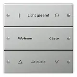 GIRA 2133602 TS3-Wippenset für Beschr.-Service System 55 3-fach | edelstahl