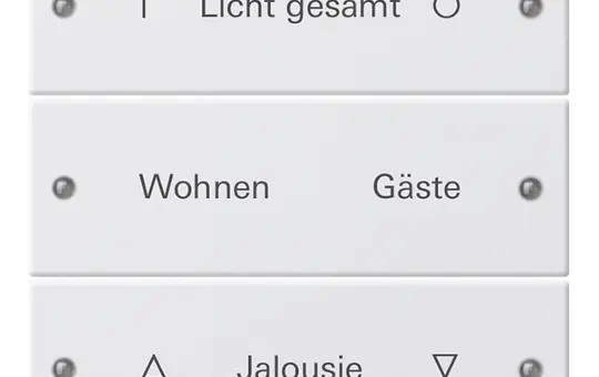 GIRA 220303 TS3-Wippenset für Beschr.-Service System 55 3-fach | reinweiß glänzend