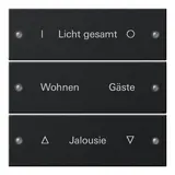 GIRA 2203005 TS3-Wippenset für Beschr.-Service System 55 3-fach | schwarz matt