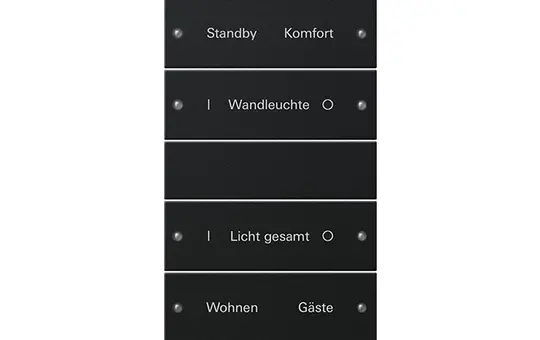 GIRA 2215005 TS3-Wippenset für Beschr.-Service System 55 5-fach (2+3), Plus | schwarz matt